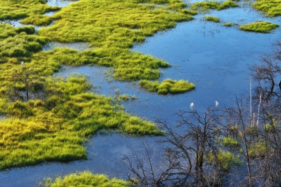 Cina: Nuovo Codice Ambientale per una Modernizzazione Sostenibile