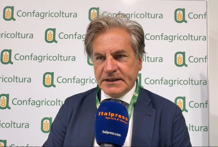 "Confagricoltura: Lavoro, una sfida per reperire manodopera"
