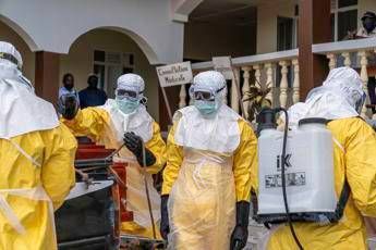 "Ebola: il co-scopritore avverte, diffonde a velocità record!"