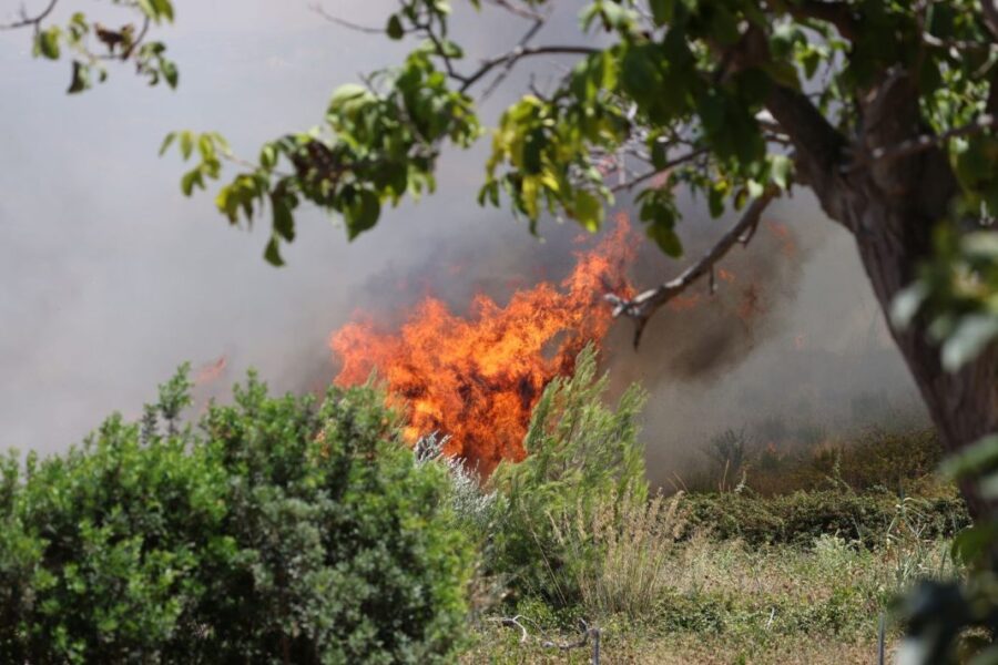 "Emilia-Romagna: 220 ettari distrutti dagli incendi a luglio"
