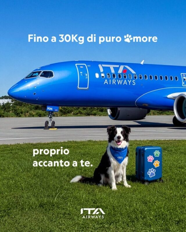 "ITA Airways presenta 'Large Dog On Board': viaggia con il tuo grosso cane!"