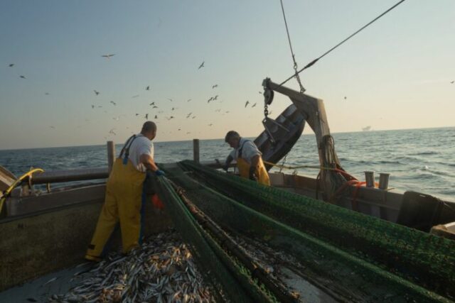 "Masaf: 3M per il Fondo di solidarietà per pesca e acquacoltura"