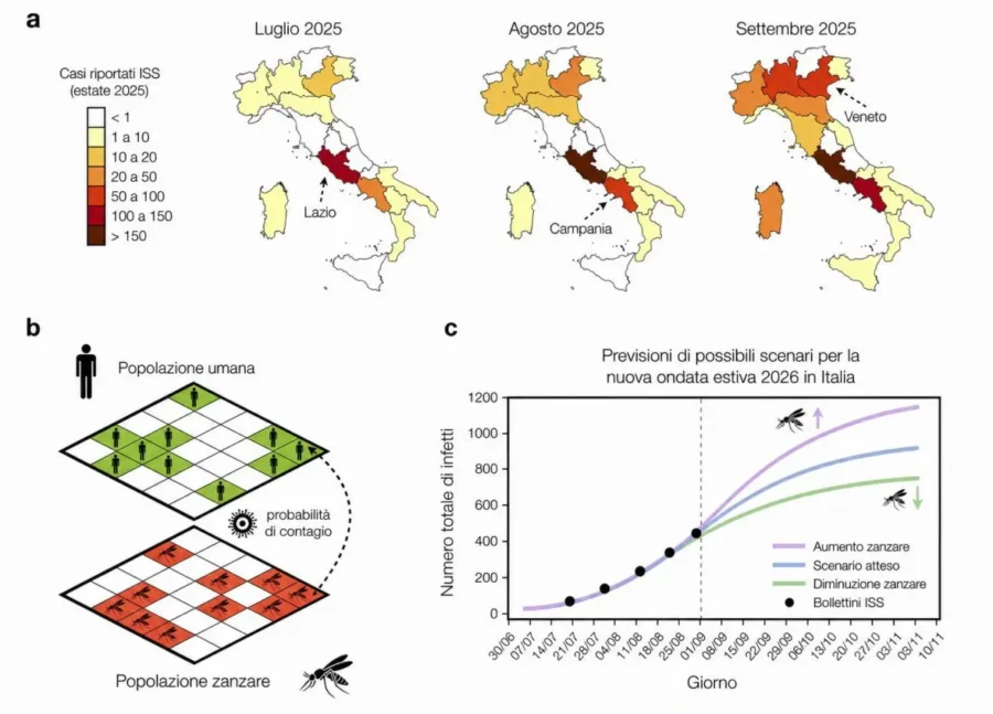 "West Nile: Nuovo modello matematico per le epidemie"