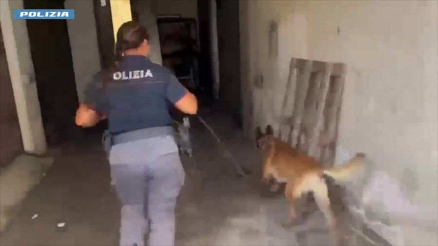 A Catania scoperti 2 chili di marijuana nel sottoscala di un condominio