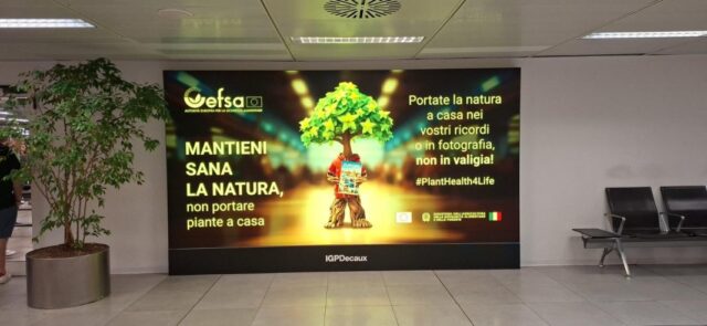 "Aeroporti e Biodiversità: Campagna Plant Health a Malpensa"