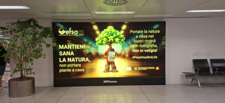 "Aeroporti e Biodiversità: Campagna Plant Health a Malpensa"