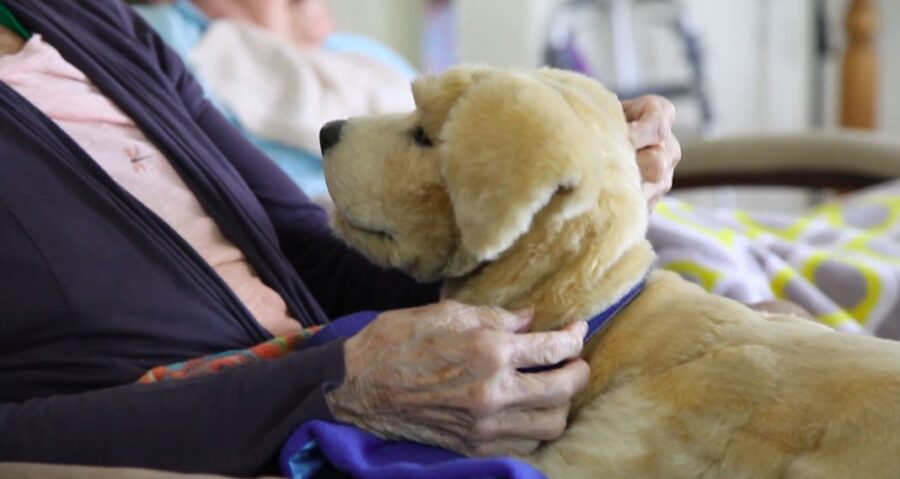 "Demenza in Italia: 1,2 milioni colpiti, Alzheimer al top"