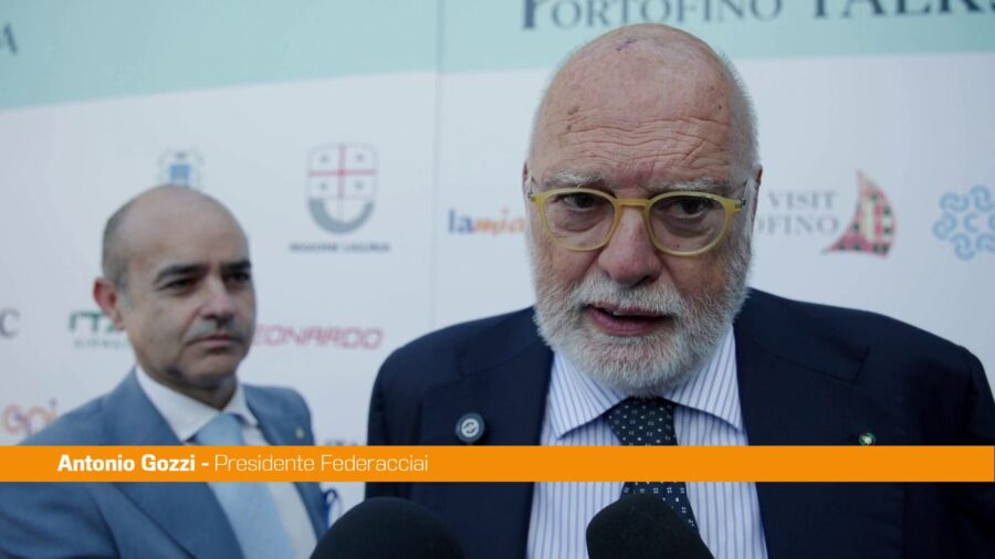 Ex Ilva, Gozzi "Ordinanza Milano mette in discussione regole ordinamento"