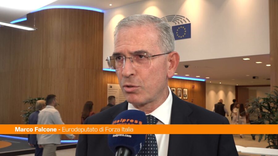 Germania, Falcone "Il voto in Sassonia è un campanello d'allarme per l'Europa"