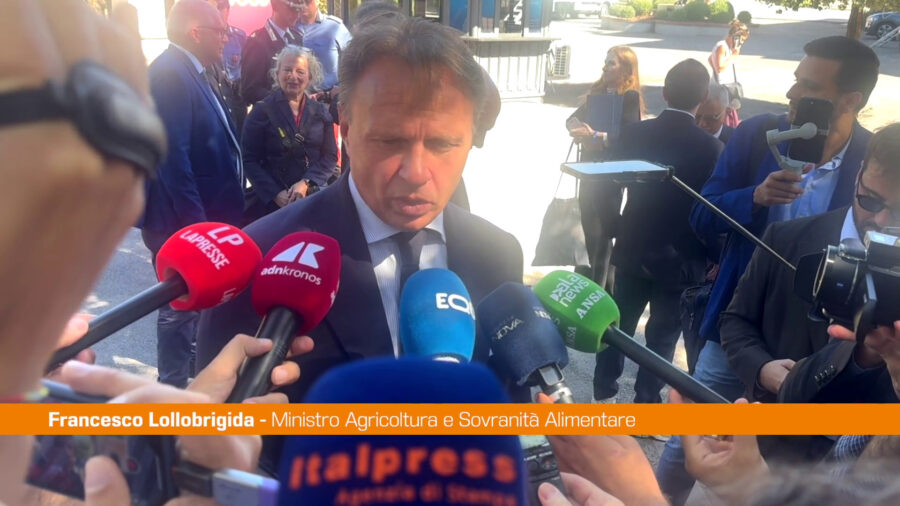 Ippica, Lollobrigida "Il Governo ha messo in campo azioni di rilancio"