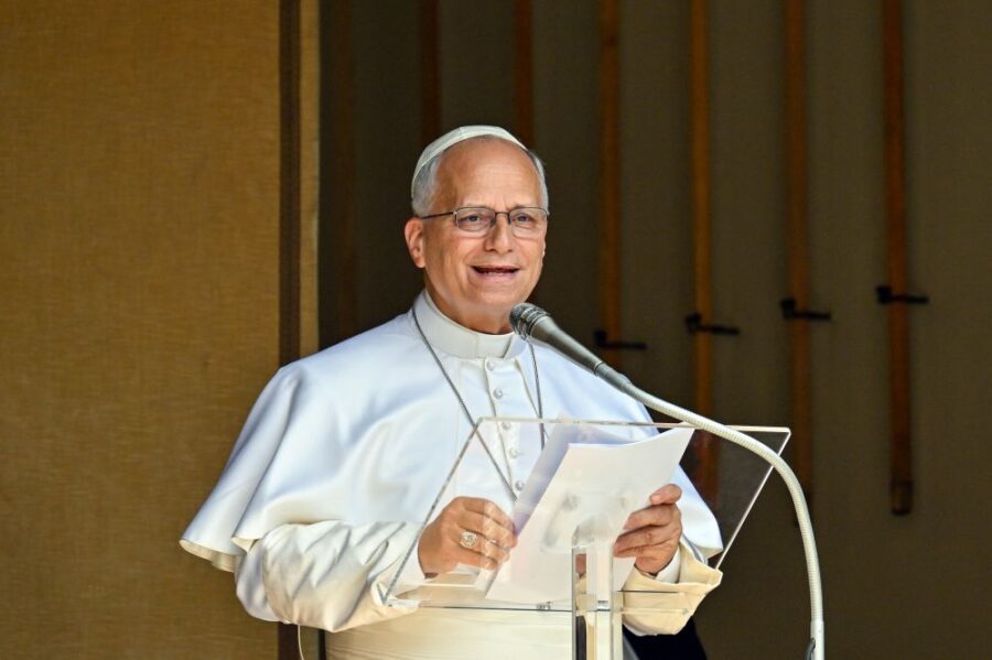 Papa Leone XIV: "Togliere la vita non è normale"
