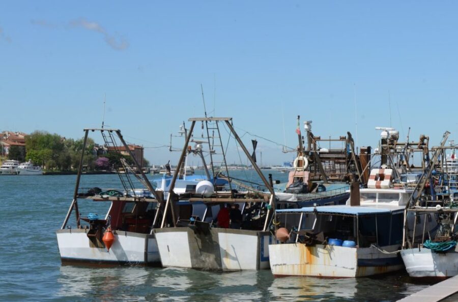 "Parlamento Europeo esplora sfide ambientali del delta del Po"