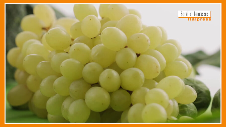 Sorsi di Benessere - Un drink a base di uva e zenzero