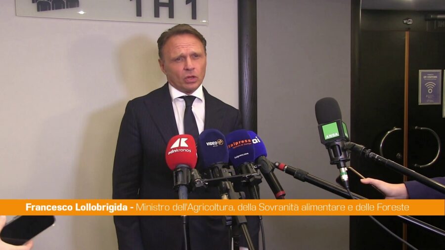 Ue, Lollobrigida "Agricoltura e pesca vanno innovate, bisogna investire"
