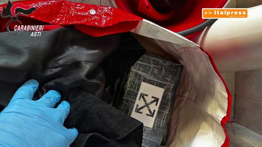 Blitz antidroga, ad Asti scoperta una piantagione con 1200 piante