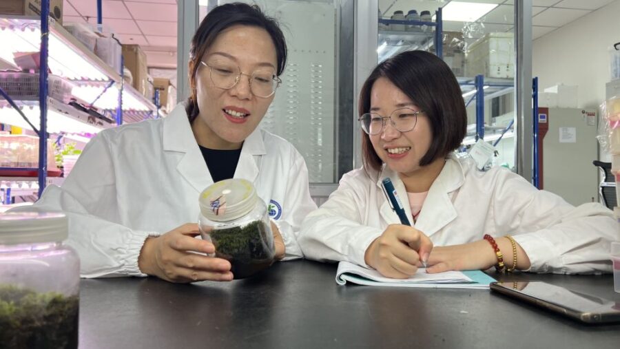 Cina: la pianta desertica "super resistente" conquista lo spazio!