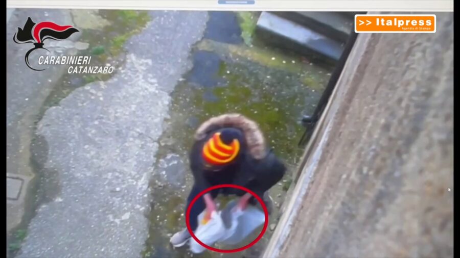Compravano la droga con il reddito di cittadinanza, 24 misure cautelari