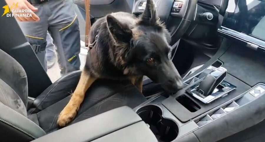 "Maxisequestro: 22 Kg di cocaina nel Catanese, arrestato serbo"