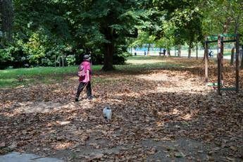 Ottobre da sogno: sole e 29°C con l'Ottobrata in Italia!