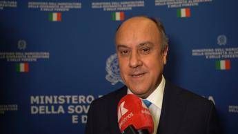 "Rivoluzione Horeca: Come il Made in Italy Sta Cambiando"