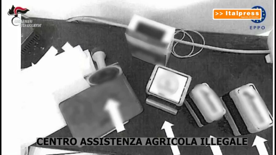Truffa sui sussidi agricoli dell'Unione Europea in Sicilia, 11 misure cautelari